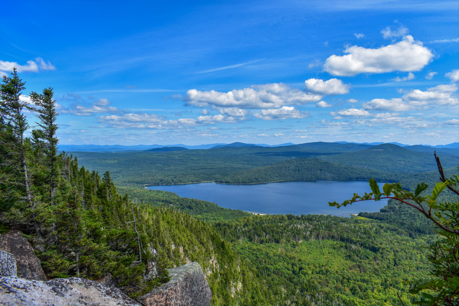 Norton VT Century 21 Farm and Fоrest